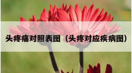 头疼痛对照表图（头疼对应疾病图）