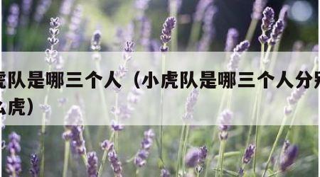 小虎队是哪三个人（小虎队是哪三个人分别是什么虎）