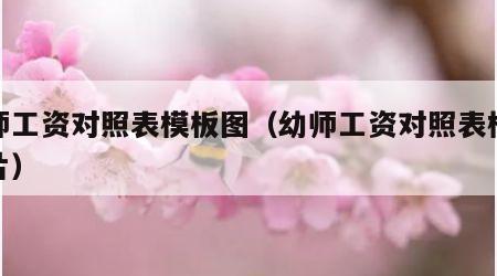 幼师工资对照表模板图（幼师工资对照表模板图片）