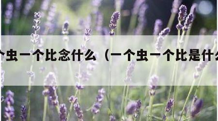 一个虫一个比念什么（一个虫一个比是什么字）