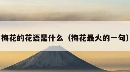 梅花的花语是什么（梅花最火的一句）