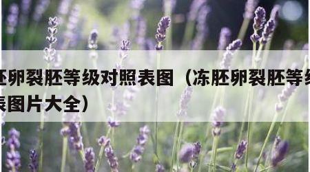 冻胚卵裂胚等级对照表图（冻胚卵裂胚等级对照表图片大全）