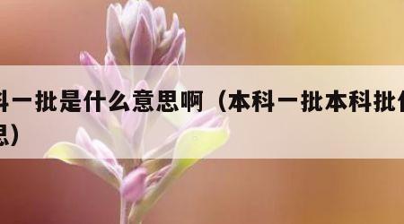 本科一批是什么意思啊（本科一批本科批什么意思）