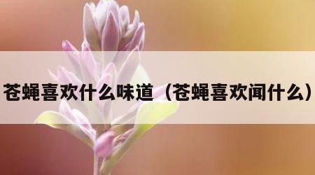 苍蝇喜欢什么味道（苍蝇喜欢闻什么）