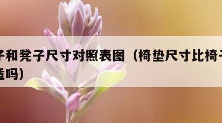 垫子和凳子尺寸对照表图（椅垫尺寸比椅子小合适吗）