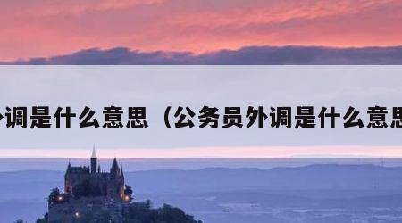 外调是什么意思（公务员外调是什么意思）