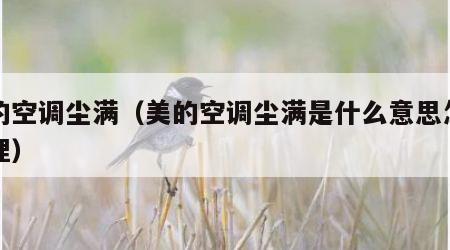 美的空调尘满（美的空调尘满是什么意思怎么处理）