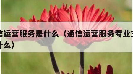 通信运营服务是什么（通信运营服务专业主要学什么）