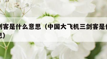 三剑客是什么意思（中国大飞机三剑客是什么意思）