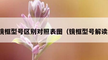 镜框型号区别对照表图（镜框型号解读）
