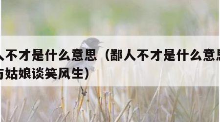 鄙人不才是什么意思（鄙人不才是什么意思未能与姑娘谈笑风生）