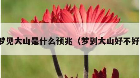 梦见大山是什么预兆（梦到大山好不好）