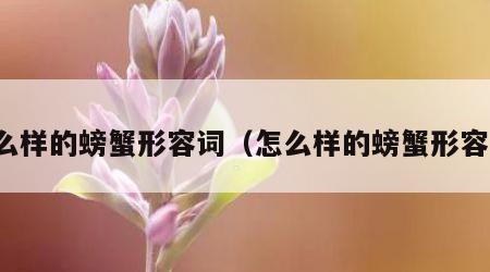 什么样的螃蟹形容词（怎么样的螃蟹形容词）