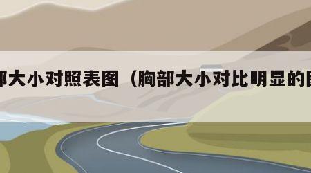 胸部大小对照表图（胸部大小对比明显的图片）