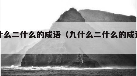 九什么二什么的成语（九什么二什么的成语词）