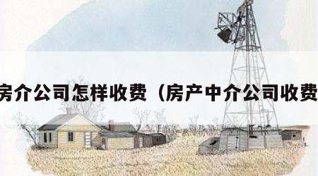 房介公司怎样收费（房产中介公司收费）