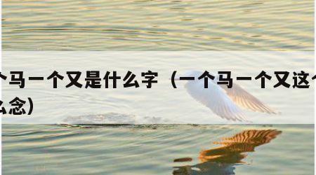 一个马一个又是什么字（一个马一个又这个字怎么念）