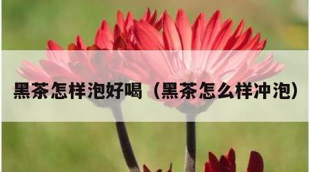 黑茶怎样泡好喝（黑茶怎么样冲泡）