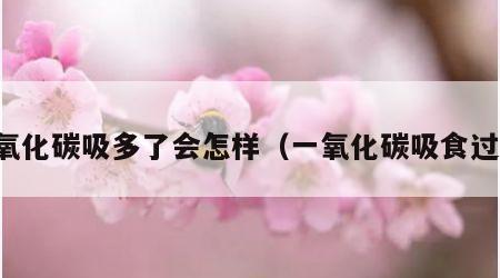 一氧化碳吸多了会怎样（一氧化碳吸食过多）
