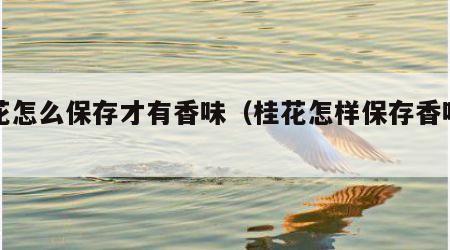 桂花怎么保存才有香味（桂花怎样保存香味长久）