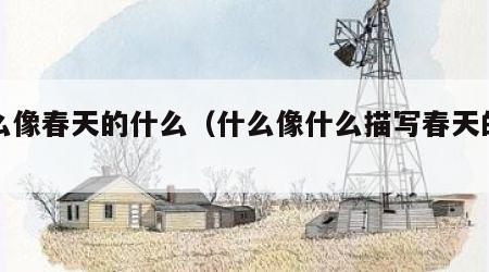 什么像春天的什么（什么像什么描写春天的句子）