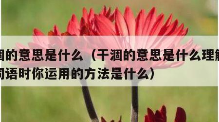 干涸的意思是什么（干涸的意思是什么理解这个词语时你运用的方法是什么）