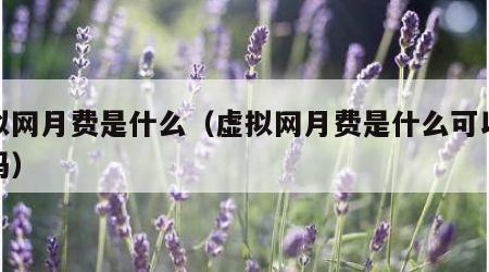 虚拟网月费是什么（虚拟网月费是什么可以取消吗）