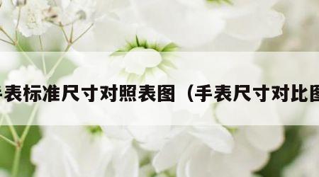 手表标准尺寸对照表图（手表尺寸对比图）