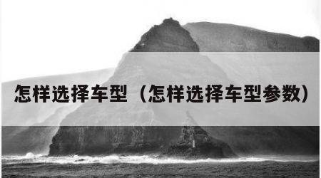怎样选择车型（怎样选择车型参数）