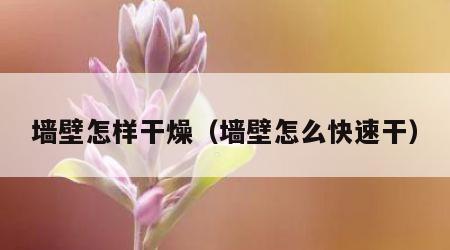 墙壁怎样干燥（墙壁怎么快速干）