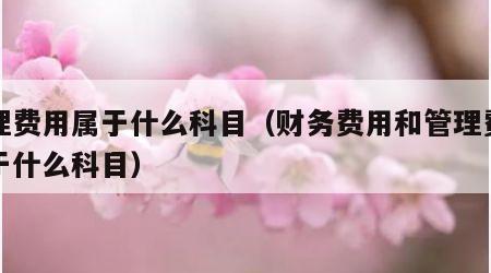 管理费用属于什么科目（财务费用和管理费用属于什么科目）