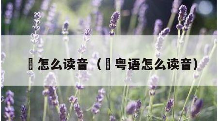 喆怎么读音（喆粤语怎么读音）