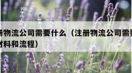 注册物流公司需要什么（注册物流公司需要哪些材料和流程）