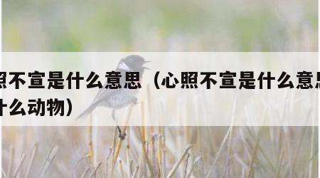 心照不宣是什么意思（心照不宣是什么意思比如什么动物）