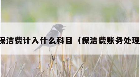 保洁费计入什么科目（保洁费账务处理）