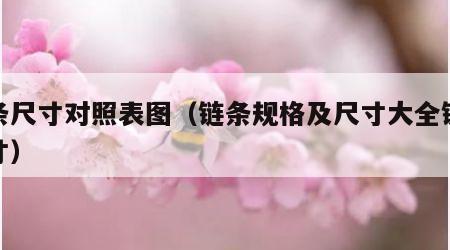 链条尺寸对照表图（链条规格及尺寸大全链条尺寸）