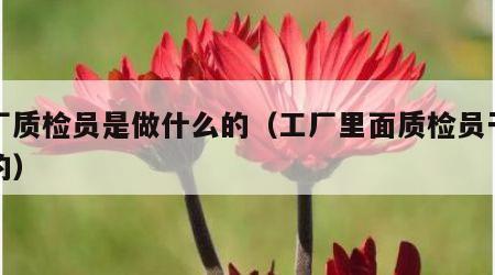 工厂质检员是做什么的（工厂里面质检员干什么的）