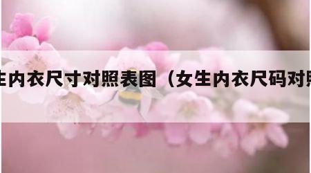 女生内衣尺寸对照表图（女生内衣尺码对照图）