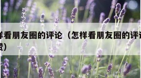 怎样看朋友圈的评论（怎样看朋友圈的评论和点赞）