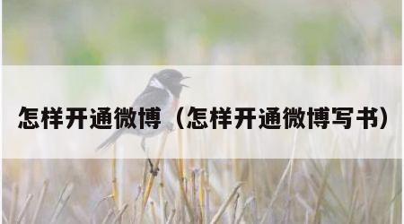 怎样开通微博（怎样开通微博写书）