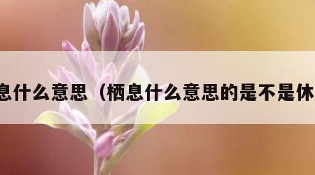 栖息什么意思（栖息什么意思的是不是休息）