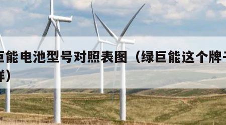 绿巨能电池型号对照表图（绿巨能这个牌子怎么样）