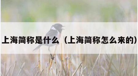 上海简称是什么（上海简称怎么来的）