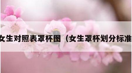 女生对照表罩杯图（女生罩杯划分标准）