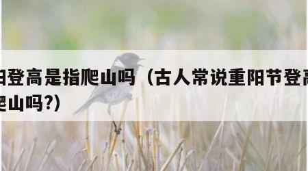 重阳登高是指爬山吗（古人常说重阳节登高是指爬山吗?）