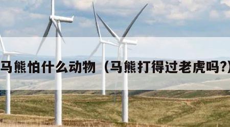 马熊怕什么动物（马熊打得过老虎吗?）