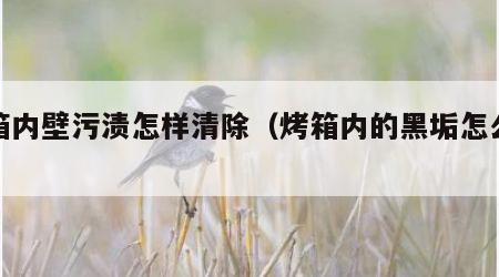 烤箱内壁污渍怎样清除（烤箱内的黑垢怎么洗）