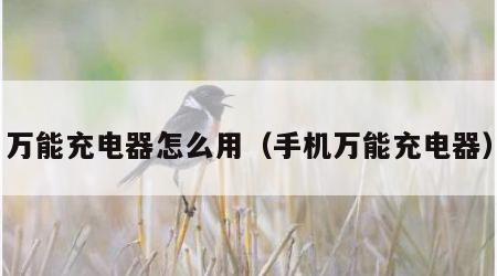 万能充电器怎么用（手机万能充电器）