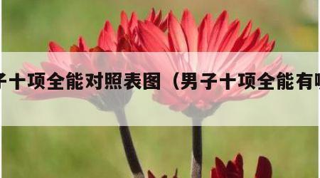 男子十项全能对照表图（男子十项全能有哪些）