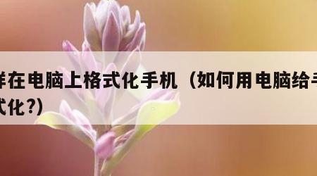 怎样在电脑上格式化手机（如何用电脑给手机格式化?）